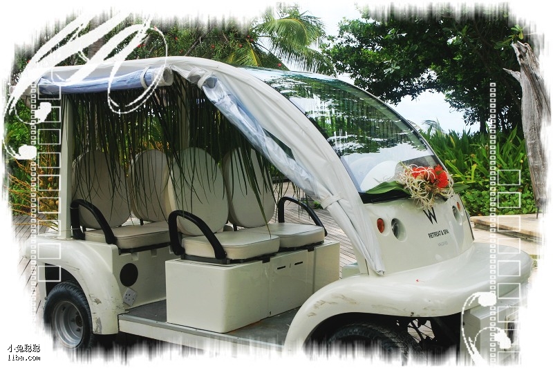 偷龙转猫 相关产品