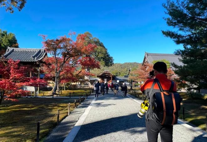 九顶假发的女孩 产品图片