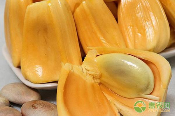 伸冤人 相关产品