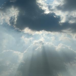 义胆红唇 相关产品