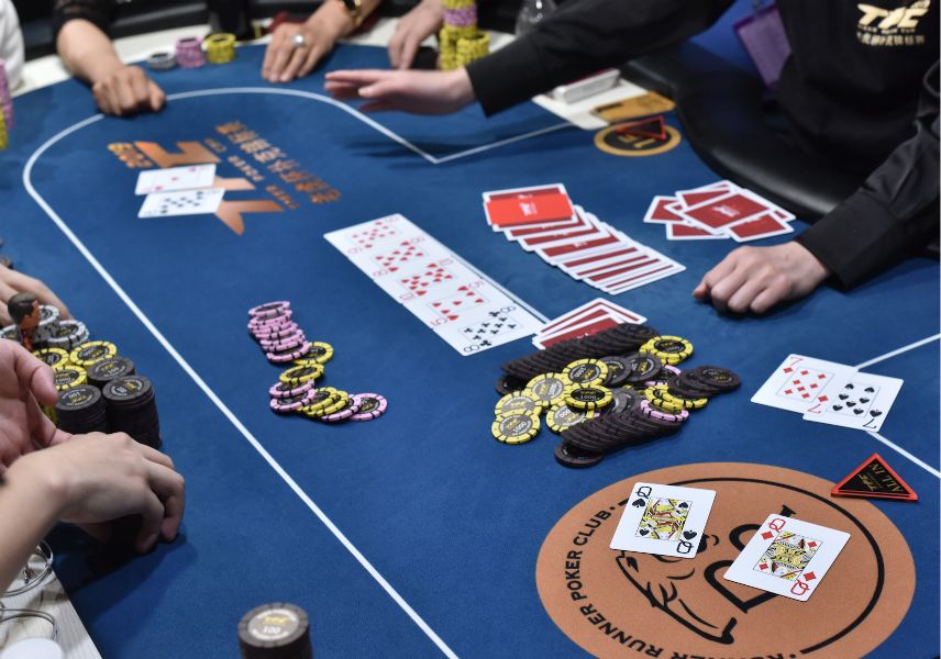 伊格尔和鹤的旅程 相关产品