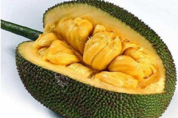 伤痛不会将我们拆散 相关产品