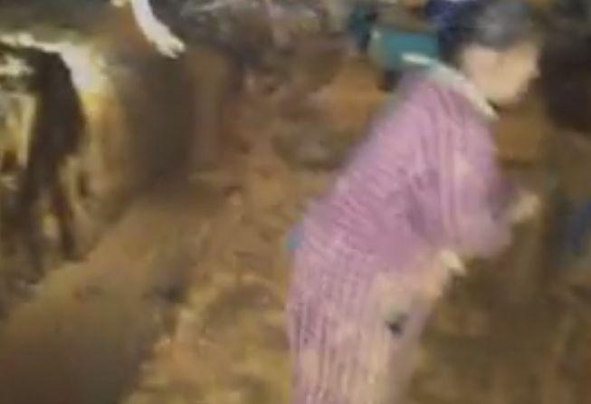 亲亲老爸 相关产品