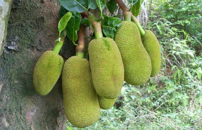 僵尸大屠杀 相关产品