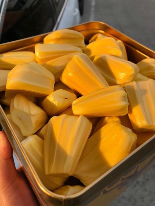 侍神令 相关产品