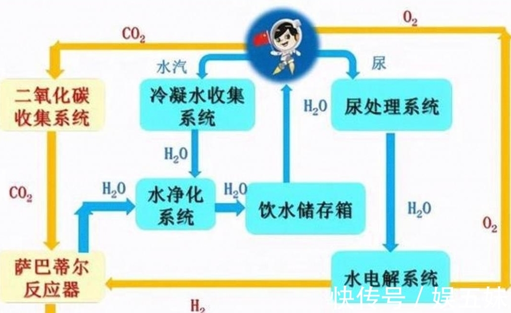 假偶天成 电影版 产品主图