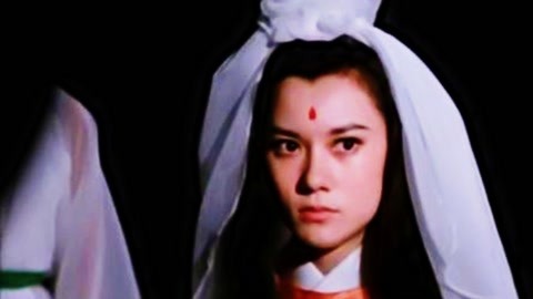 五尺神探 产品图片