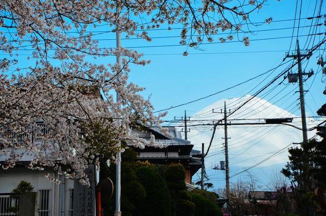 你在哪 产品图片