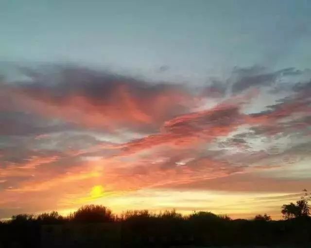 亿万神犬 推荐产品