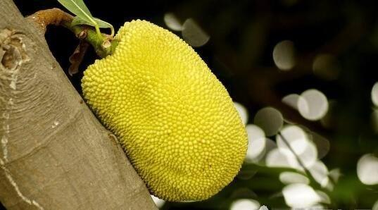 仙女下凡 相关产品