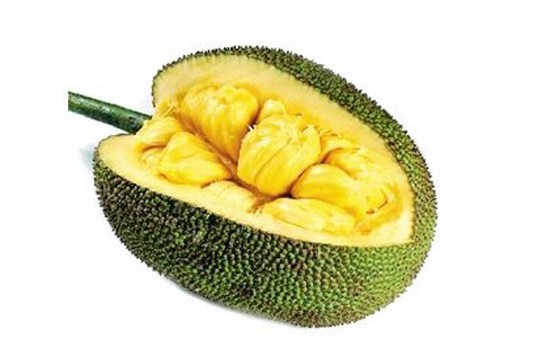 仙班校园 产品图片