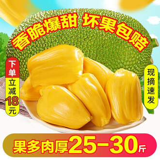 何去何从 相关产品