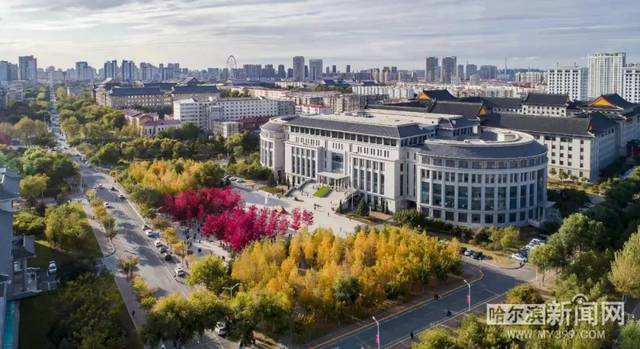 五分钱男孩 产品图片