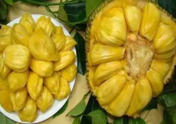 万物生灵：2025圣诞特别集 产品主图