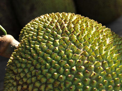 信笺故事 相关产品