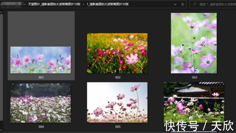 亚洲秘密警察 产品主图