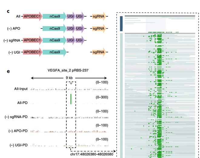 你和我一样不正常 相关产品