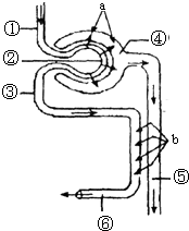 举报者 产品图片