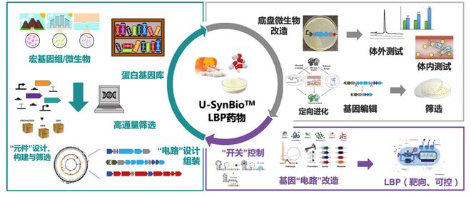 仙乐飘飘 相关产品