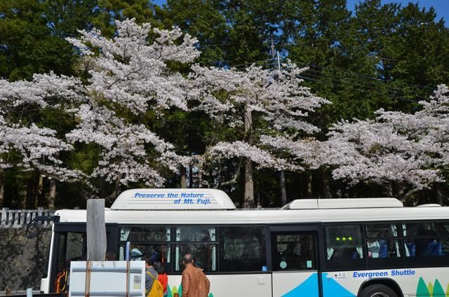 侏罗纪：重生 相关产品