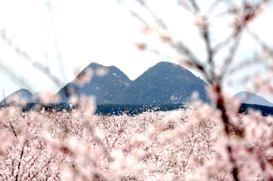 从前的光景 产品主图