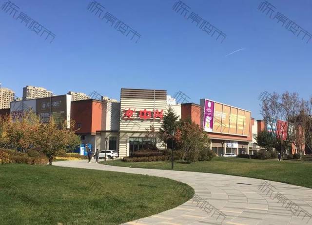 你们这些人 产品图片