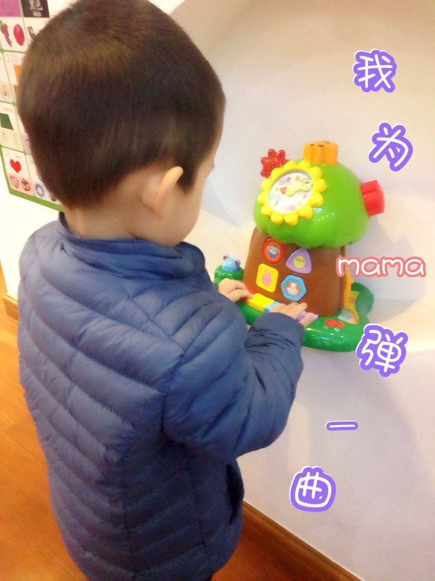 伦文叙老点柳先开