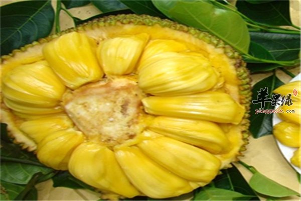 九龙城寨之围城 粤语版 产品图片