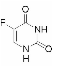 伦敦一家人 相关产品