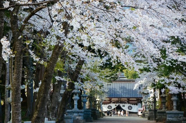 假日旅途：蒂罗尔之旅 相关产品