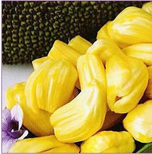 人鱼童话 产品图片