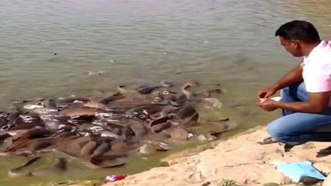 仙女下凡 相关产品