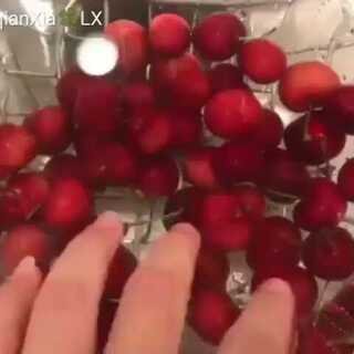 你的儿子 相关产品