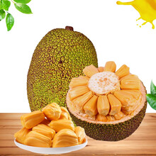 倾城佳话 相关产品