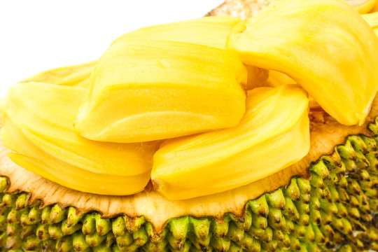 佐州自救兄弟 产品主图