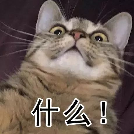 信号100 相关产品