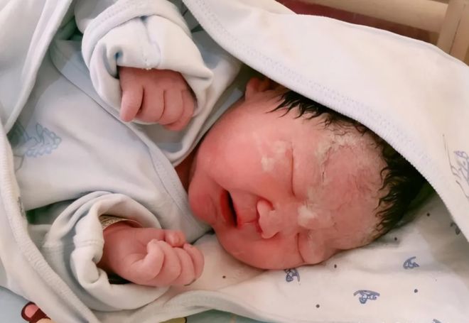 乌龙大家庭 相关产品