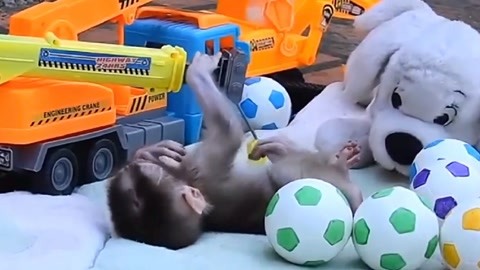 你好弗里达 相关产品