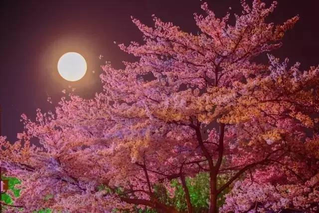 伦敦河 相关产品