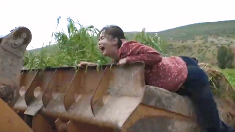 人品鉴定 产品图片