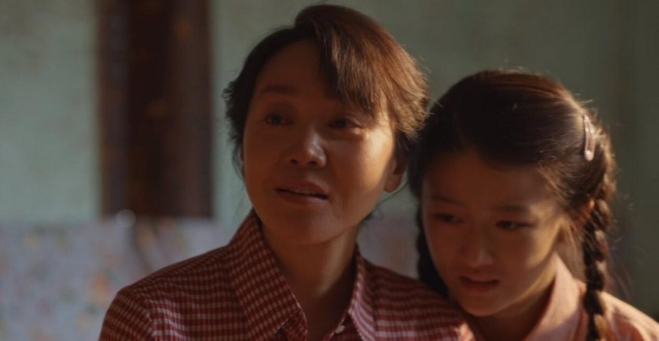 余生一年的我，遇见了的余生半年的你的故事 相关产品