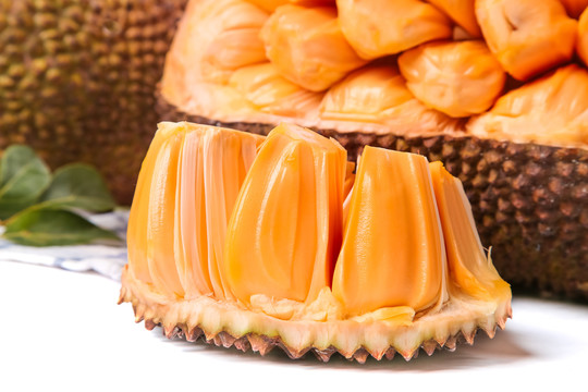 伴我纵横 相关产品