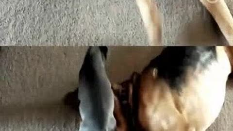 九叔归来1 产品图片