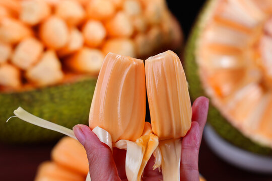 乱马1／2：OVA 珊璞暴变—反转宝珠之祸 推荐产品