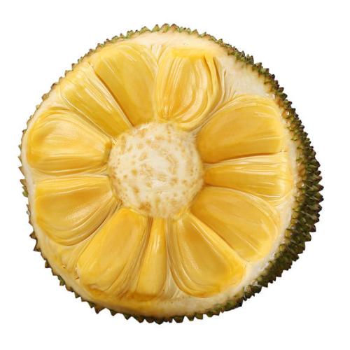 乐高史酷比：闹鬼的好莱坞 相关产品