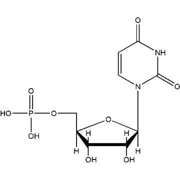 似人非人 推荐产品