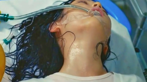 假偶天成 电影版 相关产品