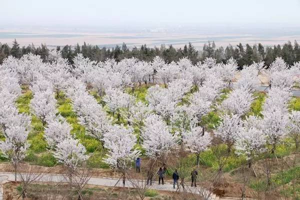 信号100 相关产品