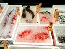 僵尸山雀 推荐产品