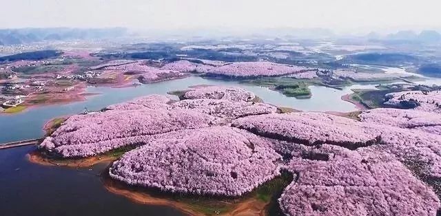 亲密如贼（国语版）